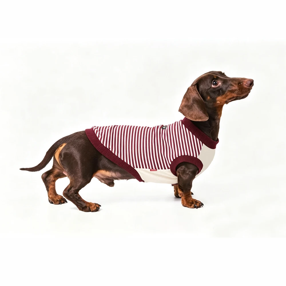 Chaleco sin mangas de algodón a rayas para dachshund – Primavera y verano - imagen 5