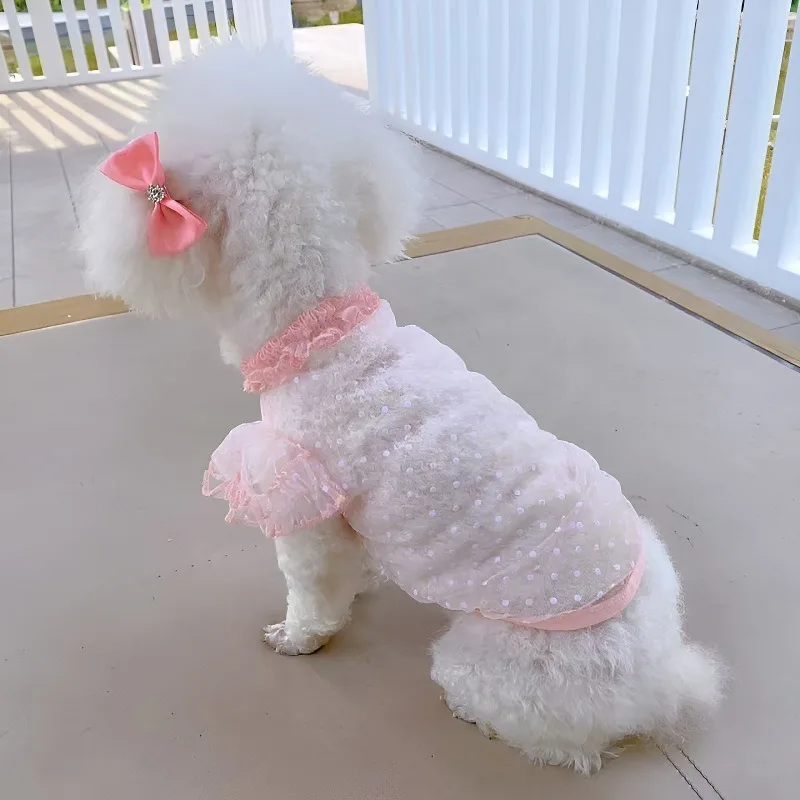 Chaleco protector solar para gatos en uso durante un paseo