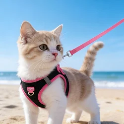 Arnés de pecho para gatos con correa – Ajustable y seguro