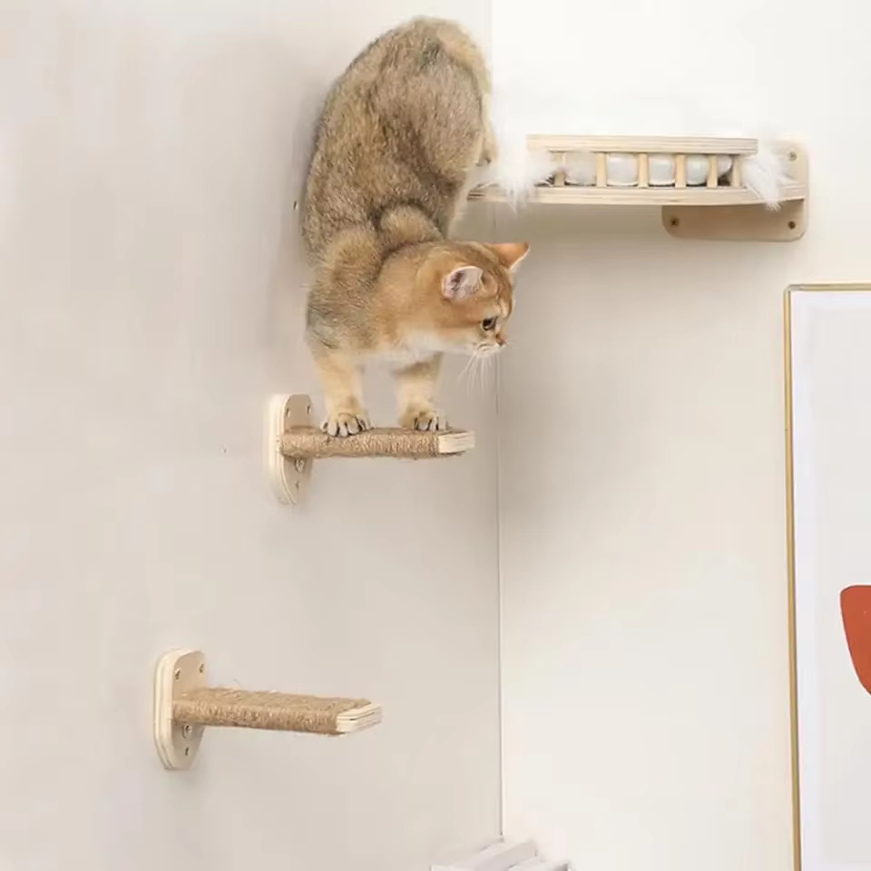 Tabla rascadora para gatos en entorno doméstico