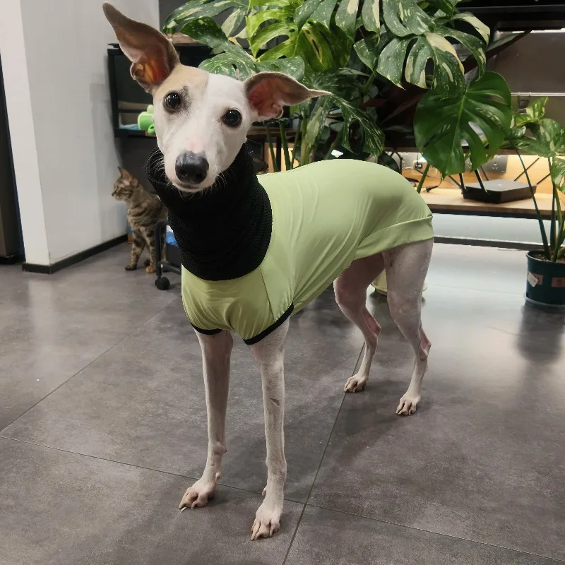Chaleco transpirable con protección solar para perros Whippet y Galgo - imagen 4