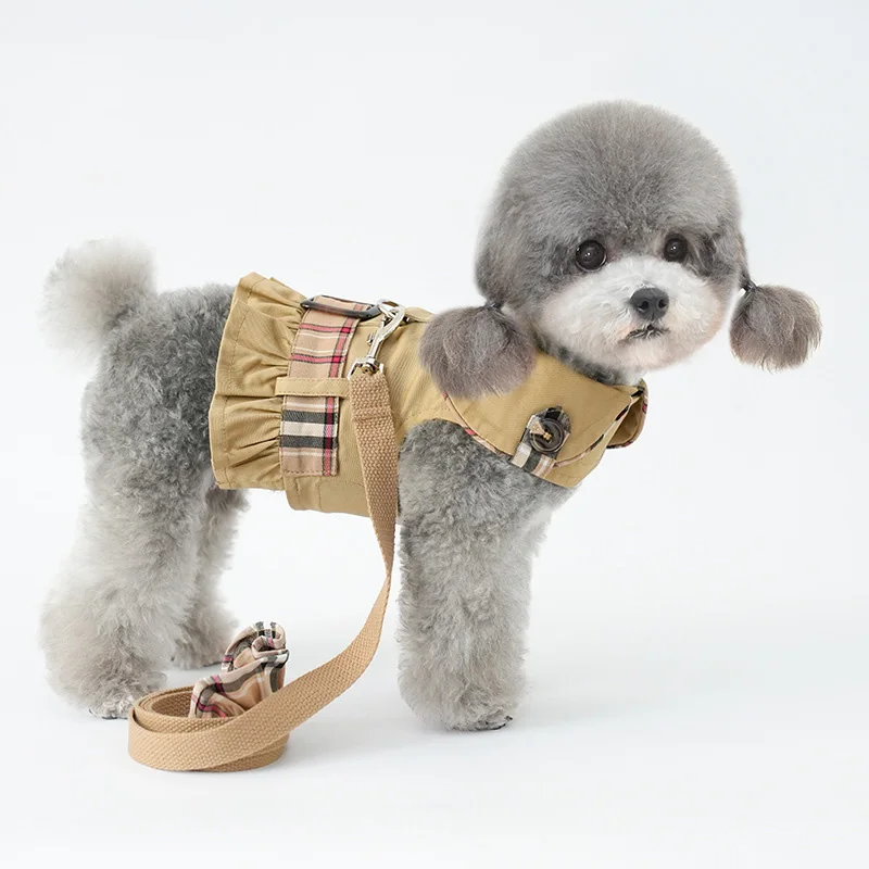 Accesorios de moda para perros pequeños