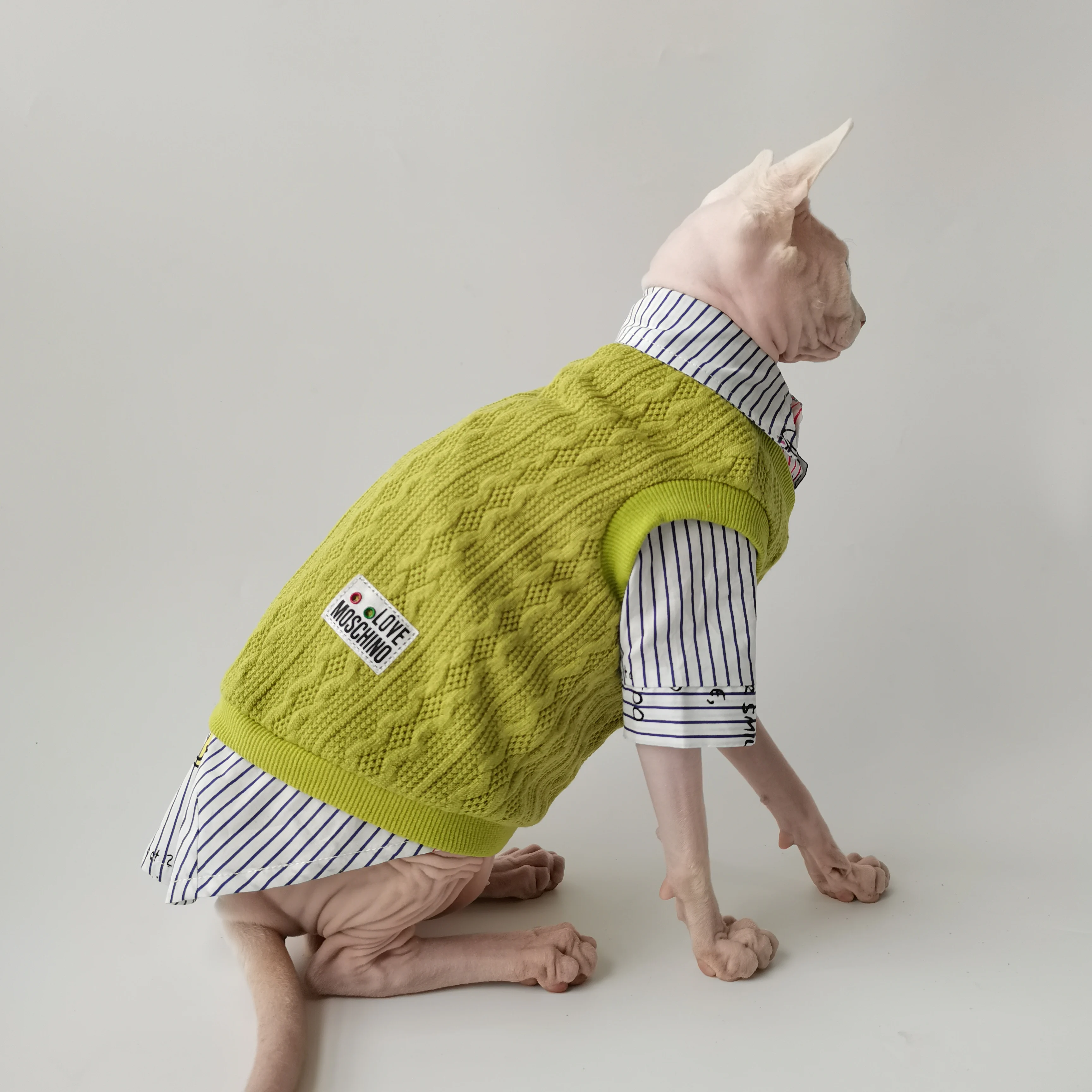 Conjunto caballero británico para Sphynx - cierre