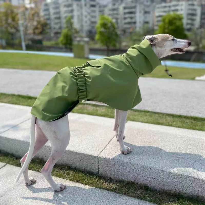 Chubasquero Impermeable para Perros – Ideal para Paseos y Exteriores