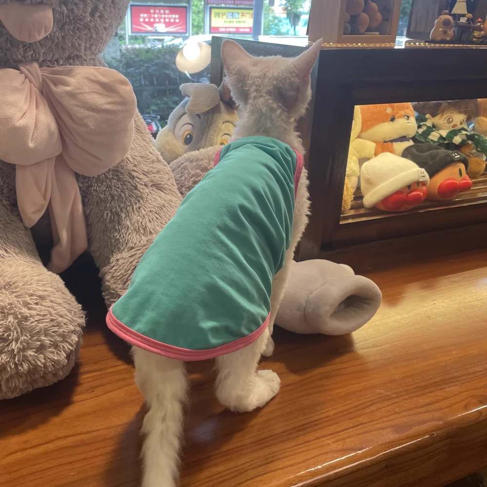 Tabla de tallas para camiseta de gato