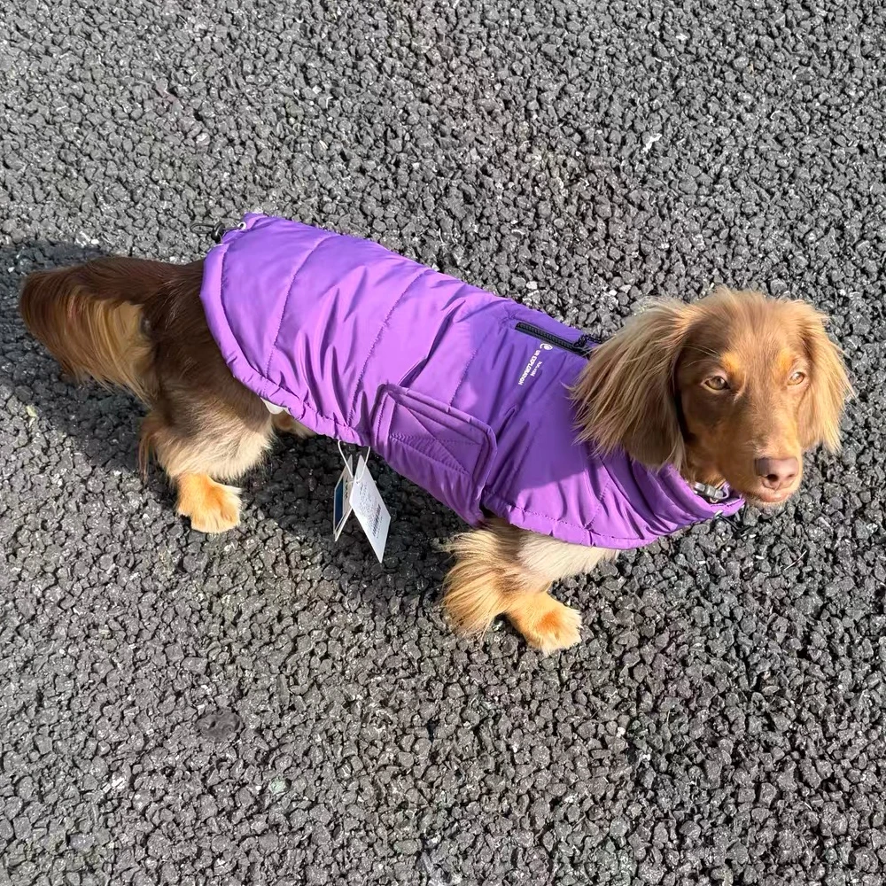 Chaqueta de plumón impermeable desmontable para teckel - imagen 5