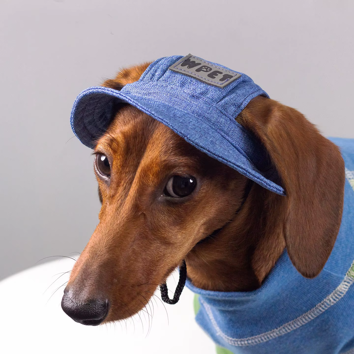 Gorra para perro con visera y protección solar en paseos - imagen 5