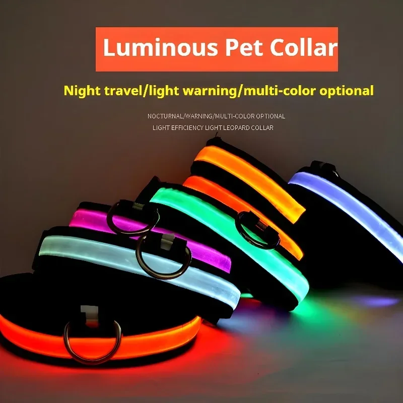 Collar LED de seguridad para perros en uso