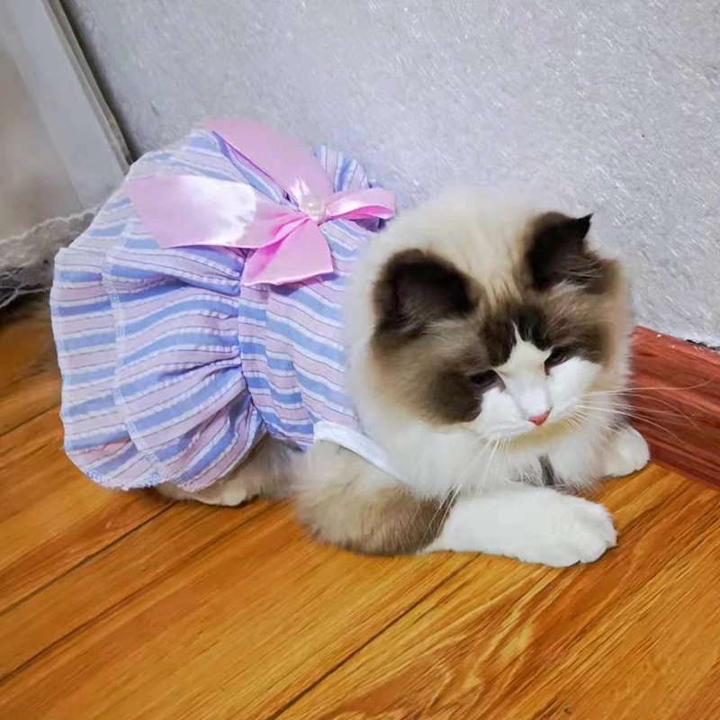 Detalle de la tela elástica y costuras planas del vestido para gato