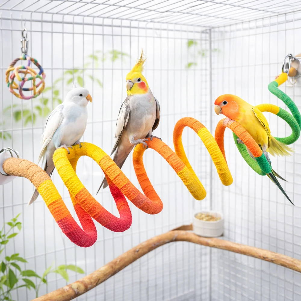 Juguete espiral de cuerda con ventosa para loros y agapornis - imagen 4