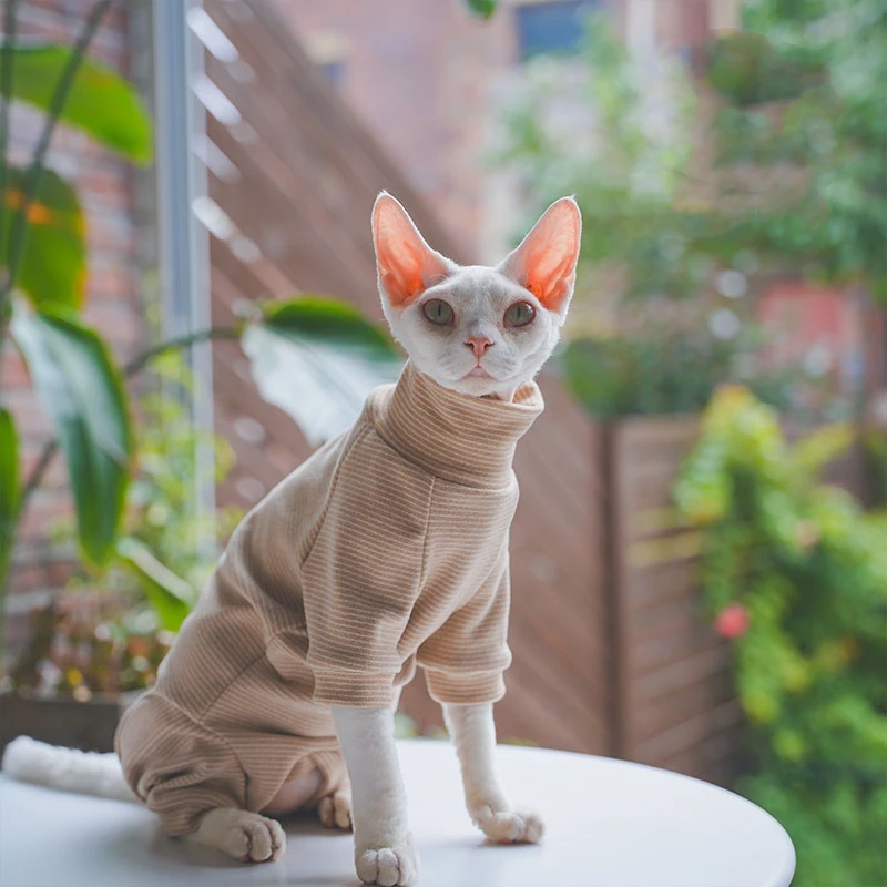 Ropa interior de algodón para mascotas pequeñas