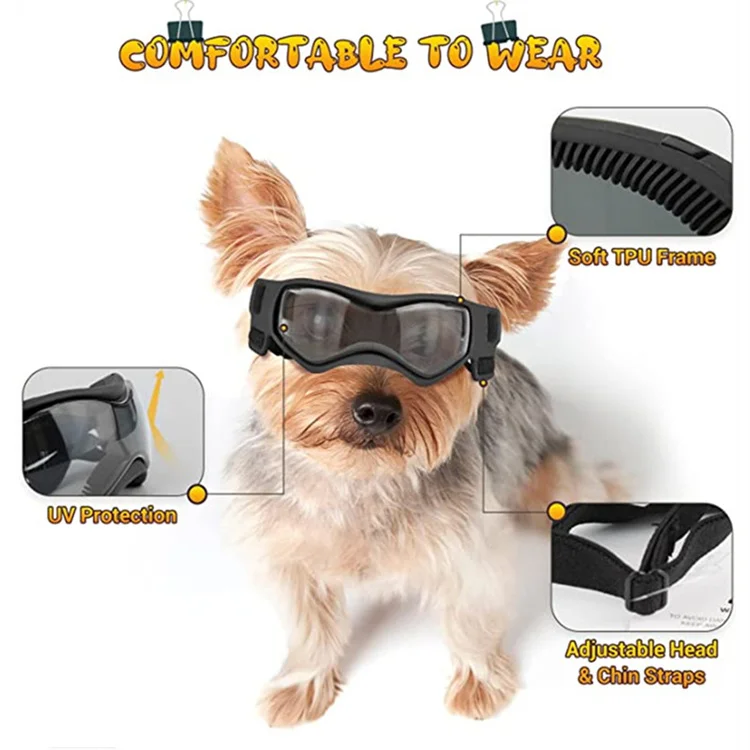 Perro usando las gafas con correa ajustable