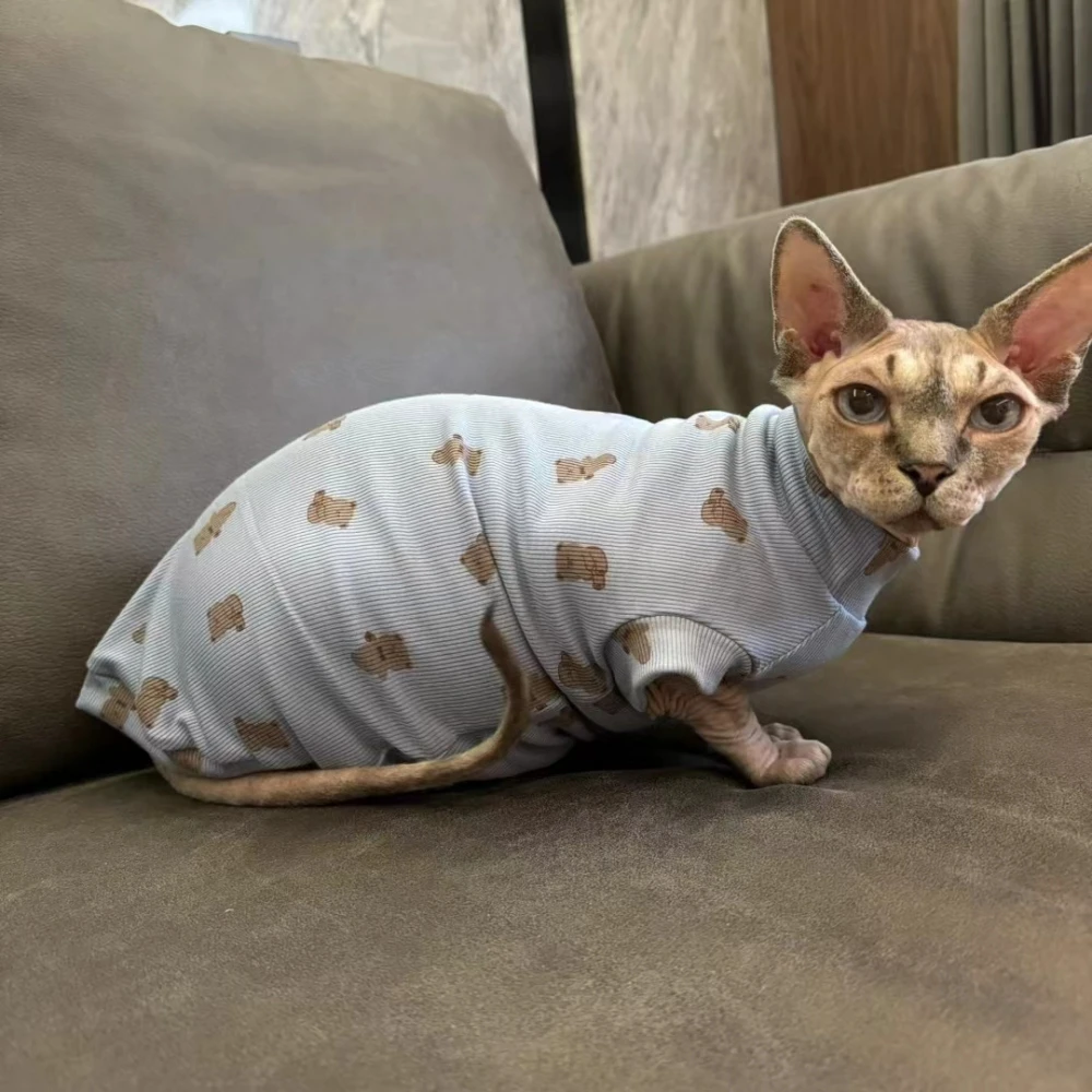 Gato modelo usando la camisa en interior