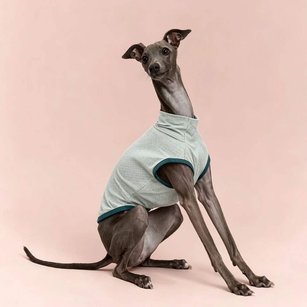 Chaleco ajustado a perro de raza Whippet