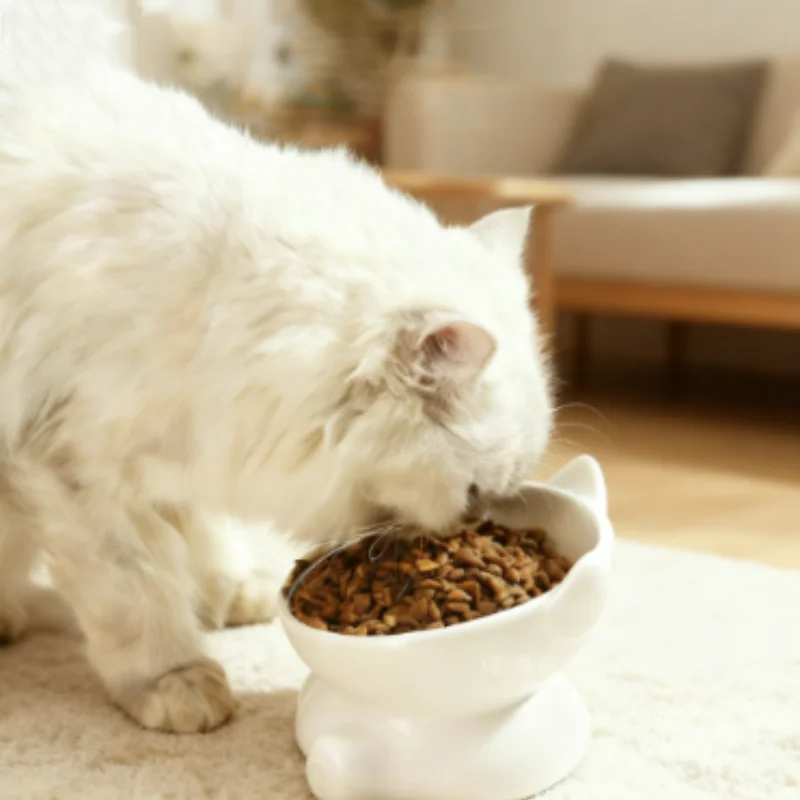 Tazón de cerámica elevado para perros y gatos con patas altas - imagen 3