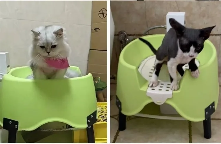 Inodoro automático para gatos con diseño semicerrado