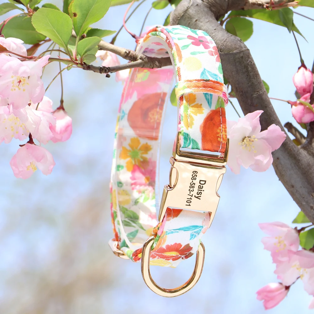 Collar personalizado de nailon con placa para perros y Chihuahua - imagen 3