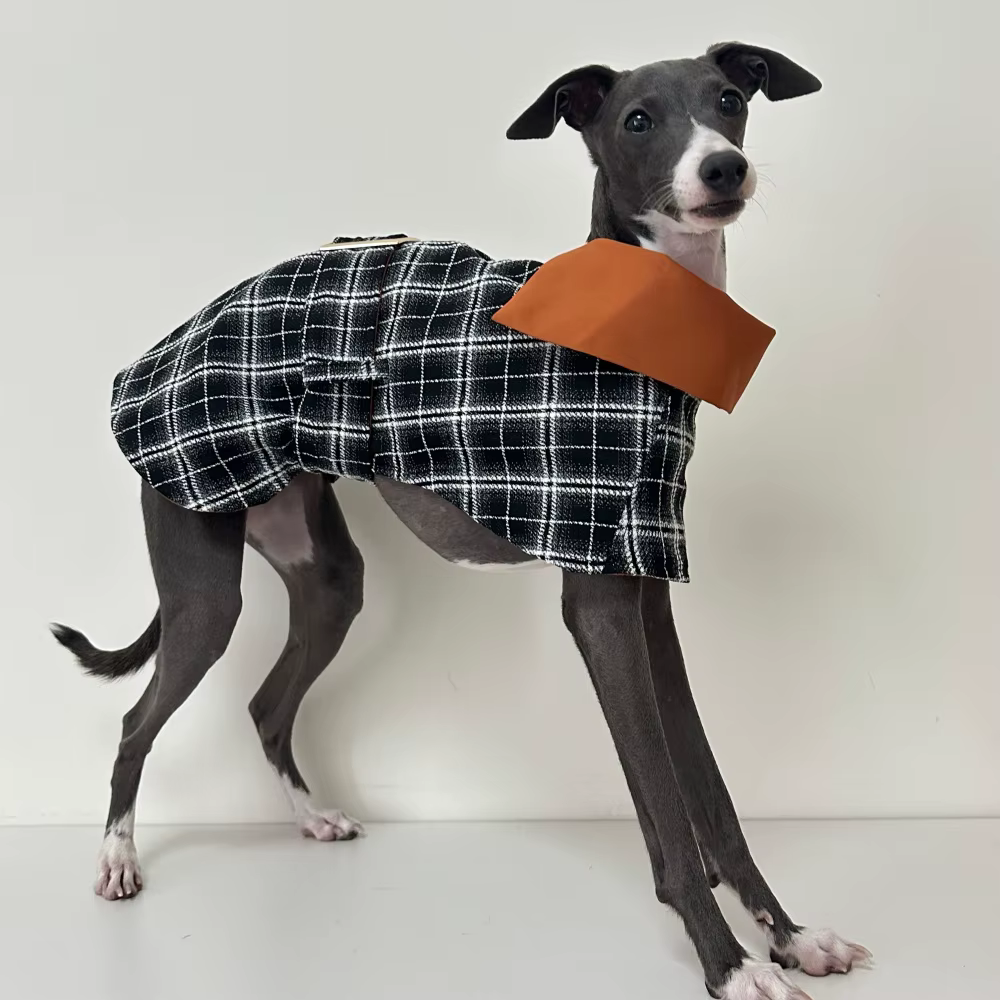 Abrigo cortavientos a cuadros para galgo italiano y whippet