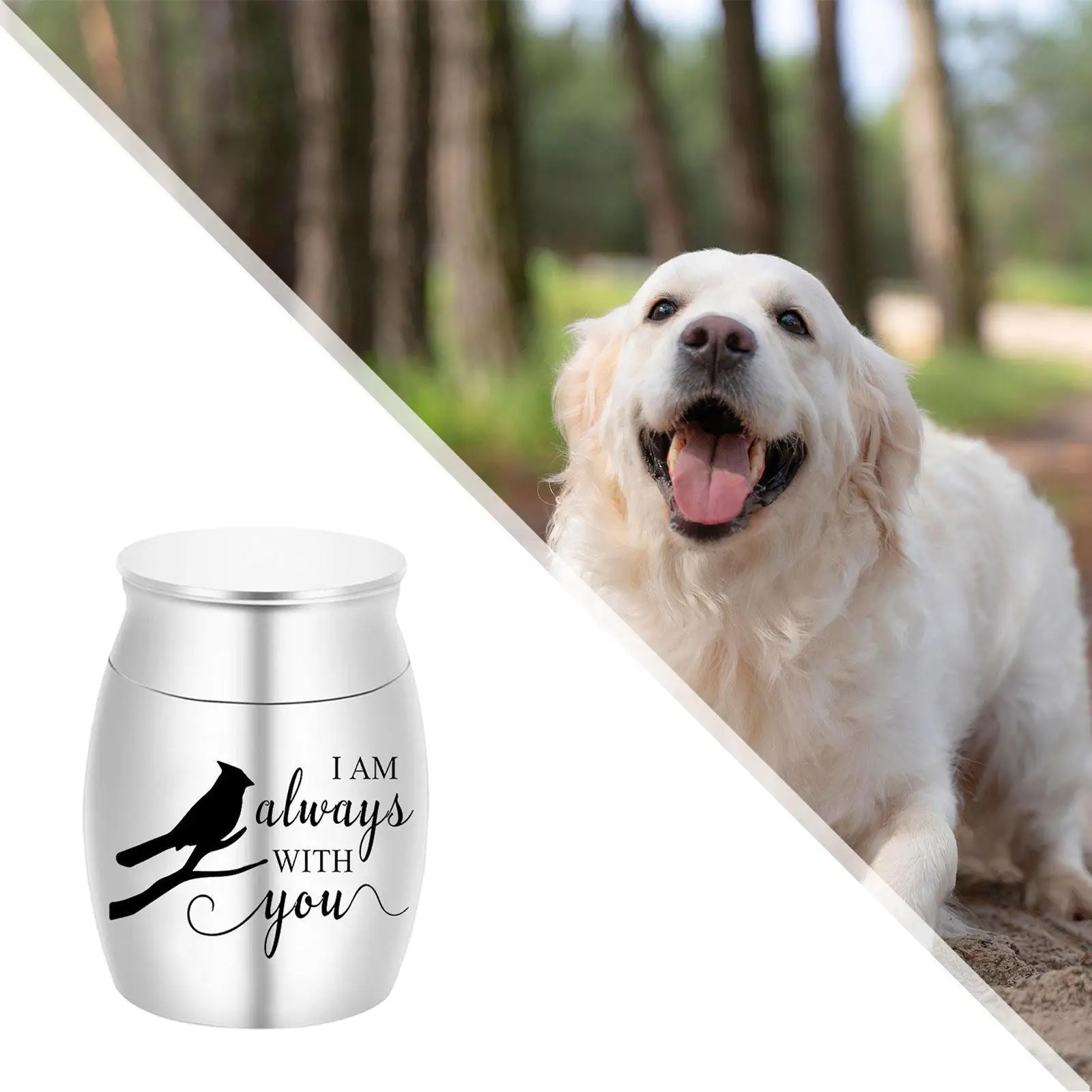 Memorial Box Lightweight Multipurpose Pet Burial Box for Birds Rabbits Cats