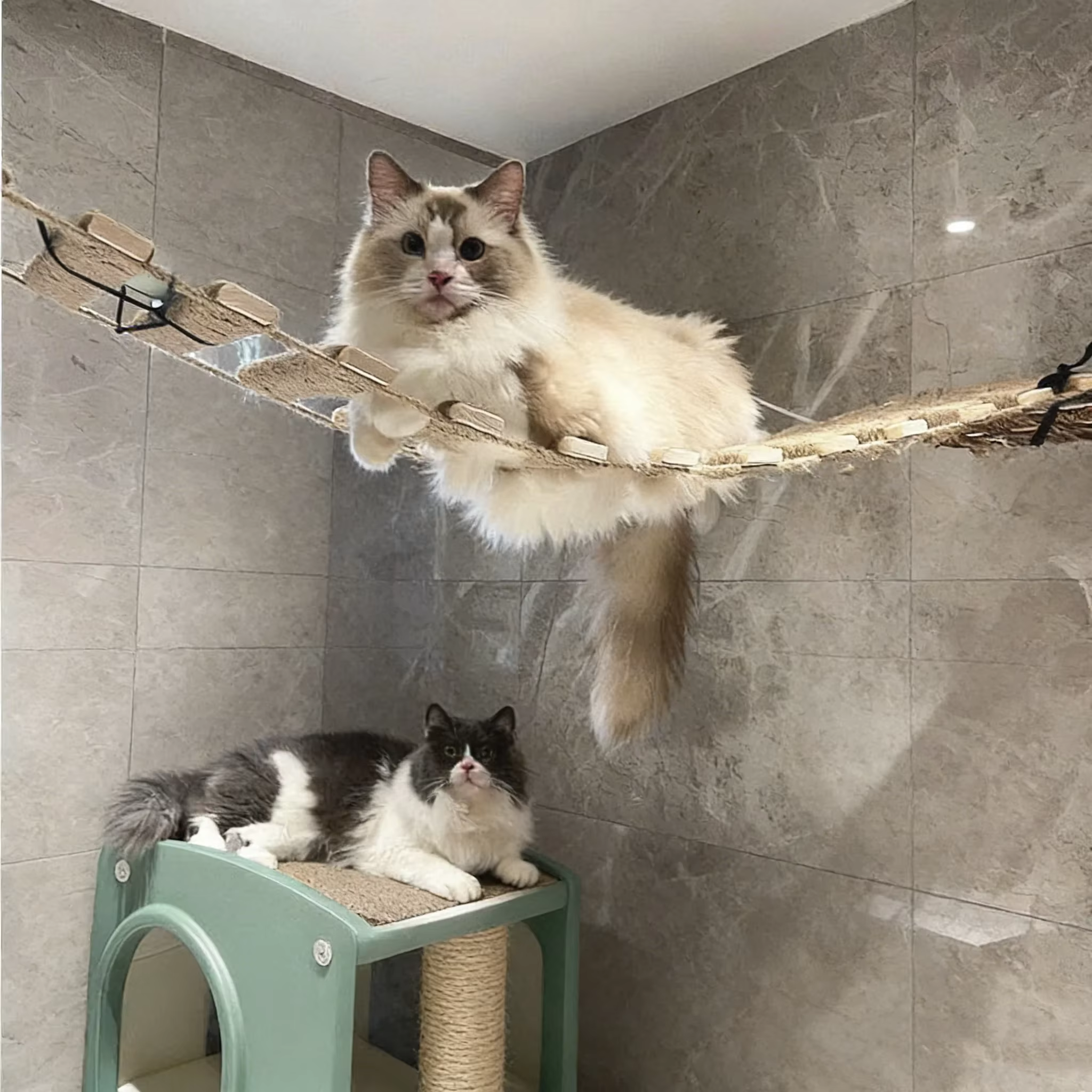Poste rascador de sisal con hamaca y plataforma escalonada para gatos - imagen 2