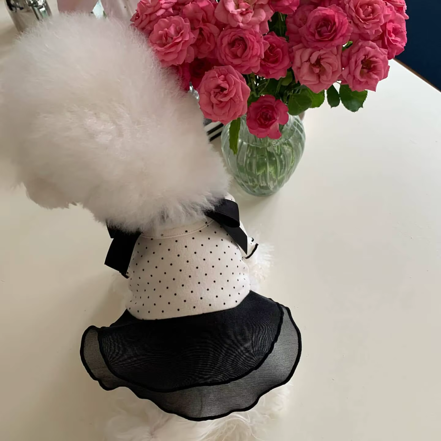 Vestido con Lazo para Perros y Gatos Pequeños - imagen 5
