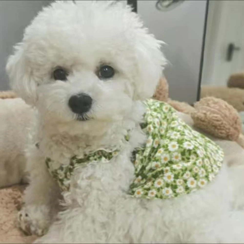 Vestido princesa con flores para perros pequeños – falda con tirantes - imagen 4