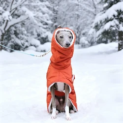 Abrigo invierno naranja algodón para perros medianos, Galgo y Whippet