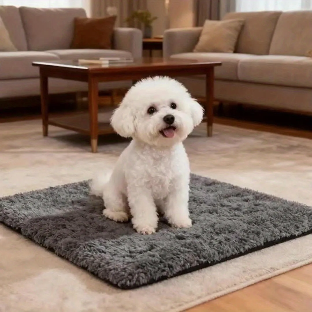 Cliente satisfecho mostrando la cama para perro