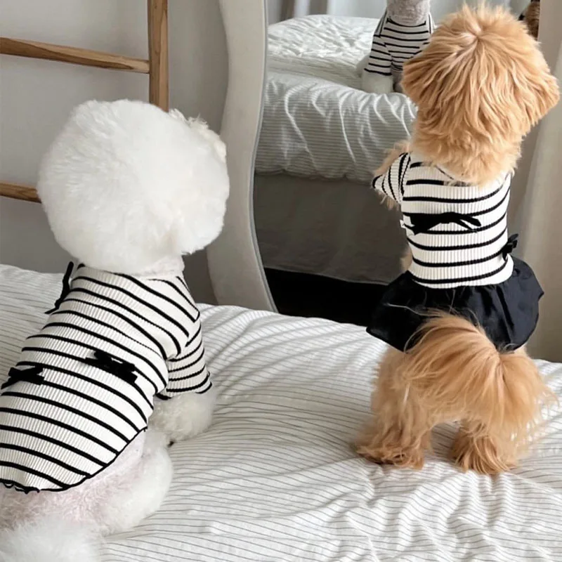 Sudadera con capucha para perros pequeños – Chihuahua y Poodle - imagen 3