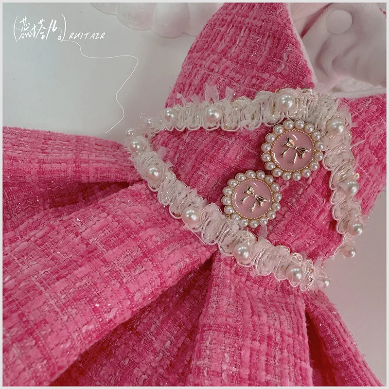 Vestido de princesa azul con detalles bordados para mascota