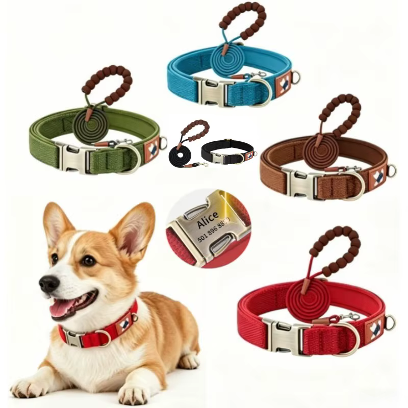 Collar personalizado para perro con placa ID de metal y correa - imagen 3