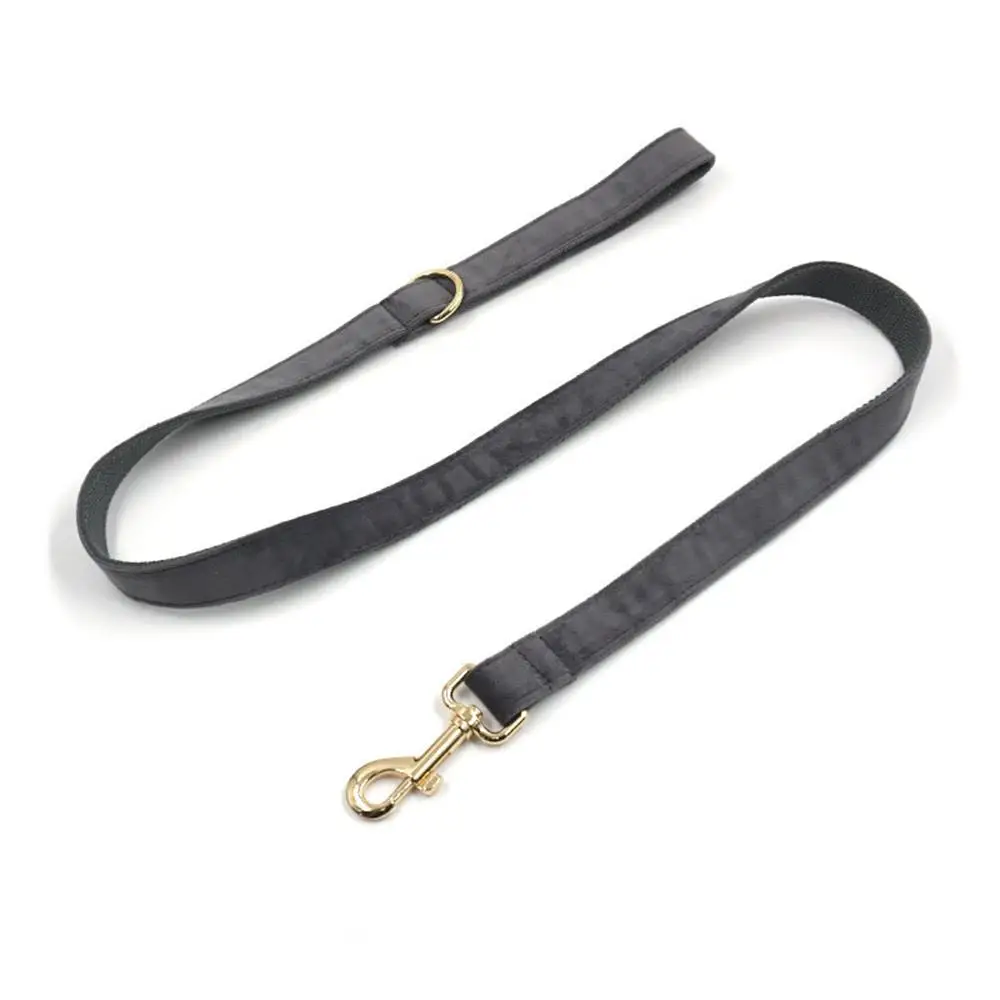 Collar en uso con perro