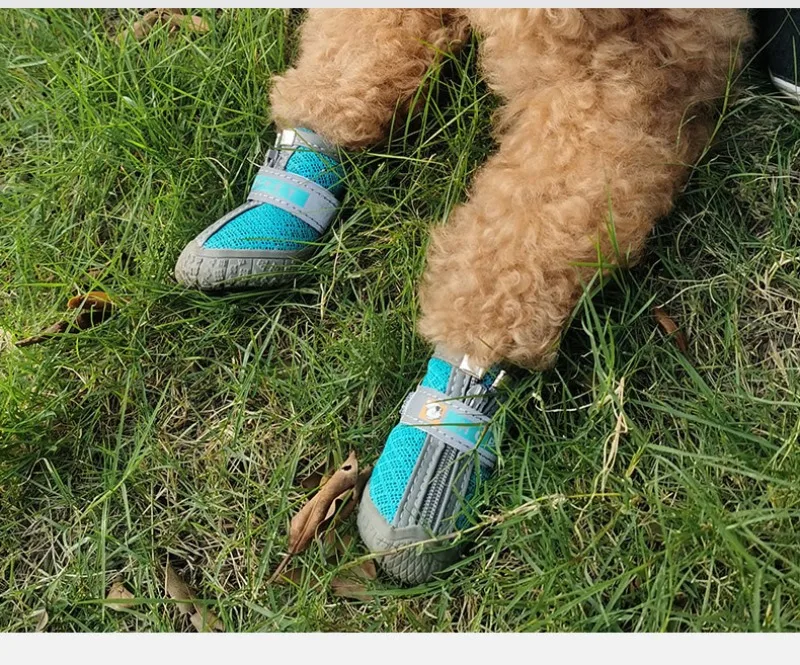 Zapatos impermeables para perros en un entorno exterior