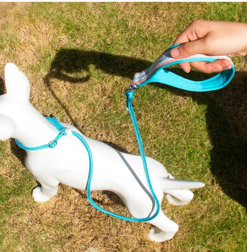 Correa para perro con cadena P de nailon