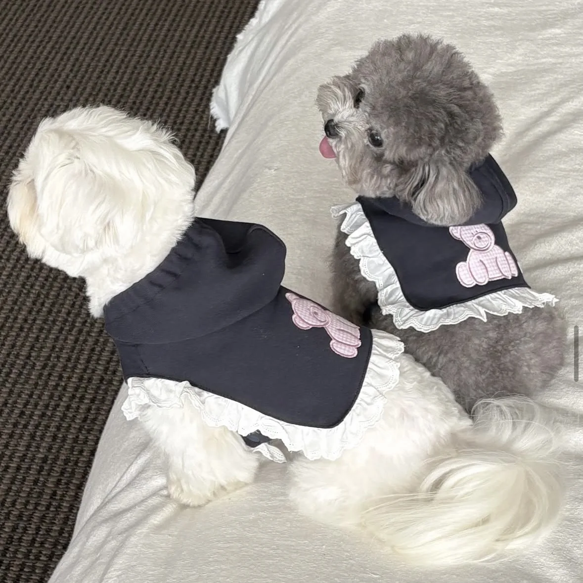 Perrito gris usando la sudadera con capucha de oso de peluche