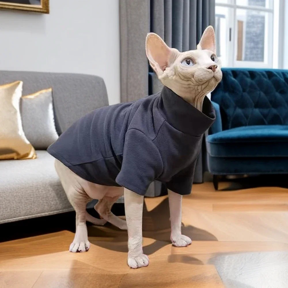Gato de Maine Coon con sudadera
