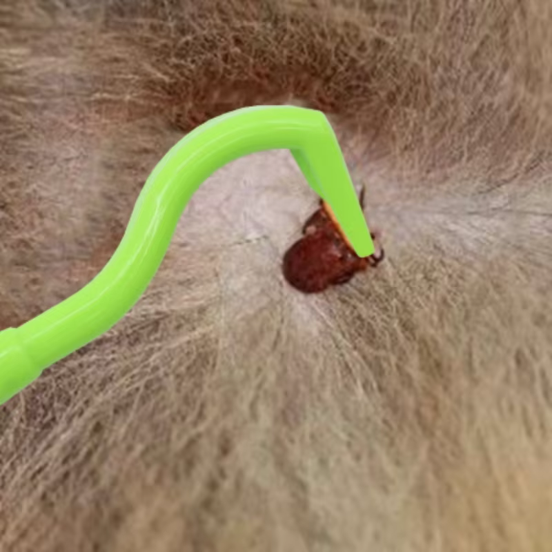 Herramienta de limpieza para piojos y pulgas en gatos