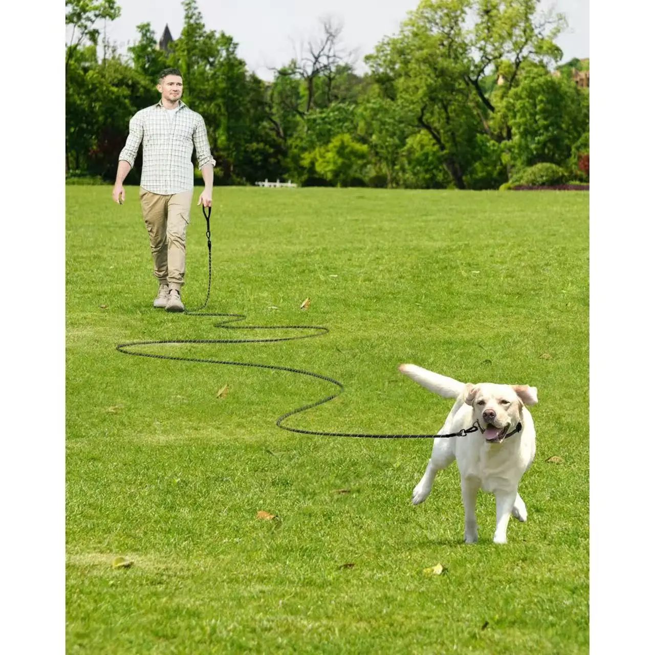 Correa de entrenamiento reflectante para perro con mango acolchado extraíble - imagen 5
