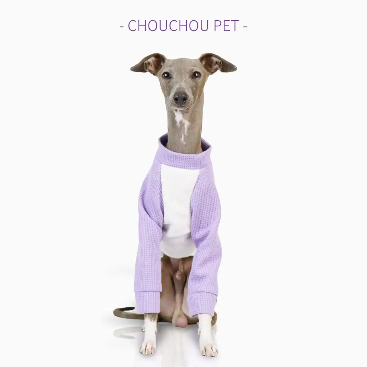 Uso de ropa de verano en paseo