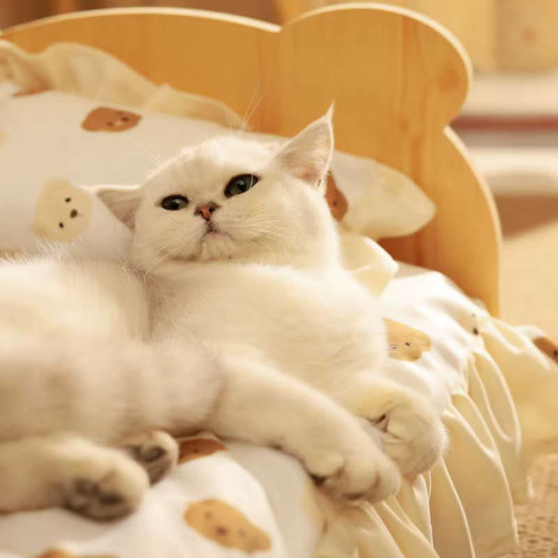 Rascador para Gatos de Madera con Diseño de Osito – Fijo a Techo - imagen 4