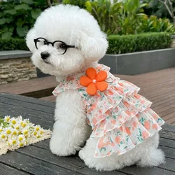 Vestido para perritas pequeñas con volantes – Bichón Frisé y Poodle