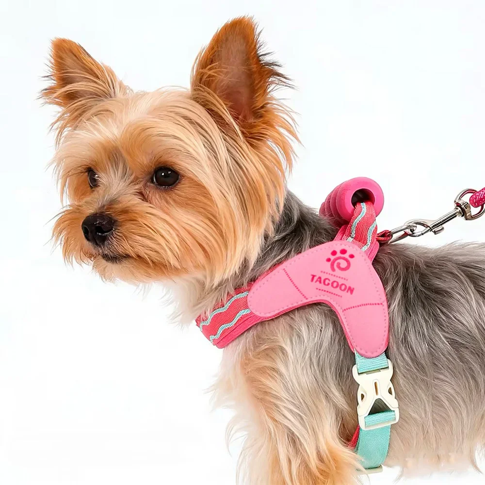 Hebilla de liberación rápida en arnés de perro