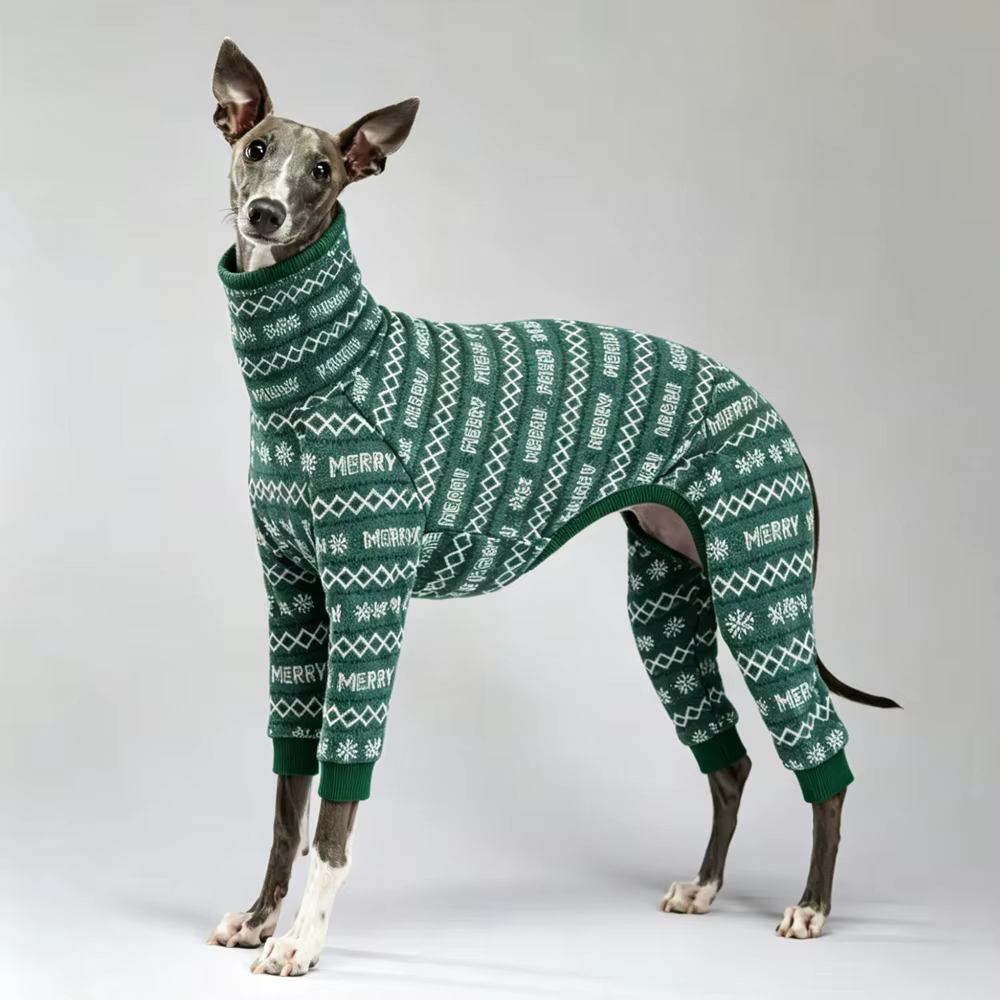 Abrigo cortavientos para Italian Greyhound y Whippet - imagen 2