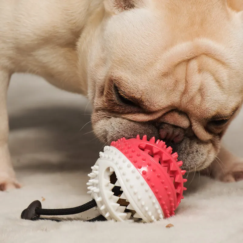 Juguete masticable para perros con campana y pelota dispensadora - imagen 5