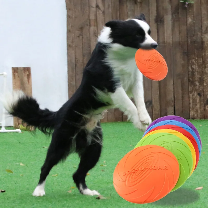 Perro jugando con disco volador de silicona