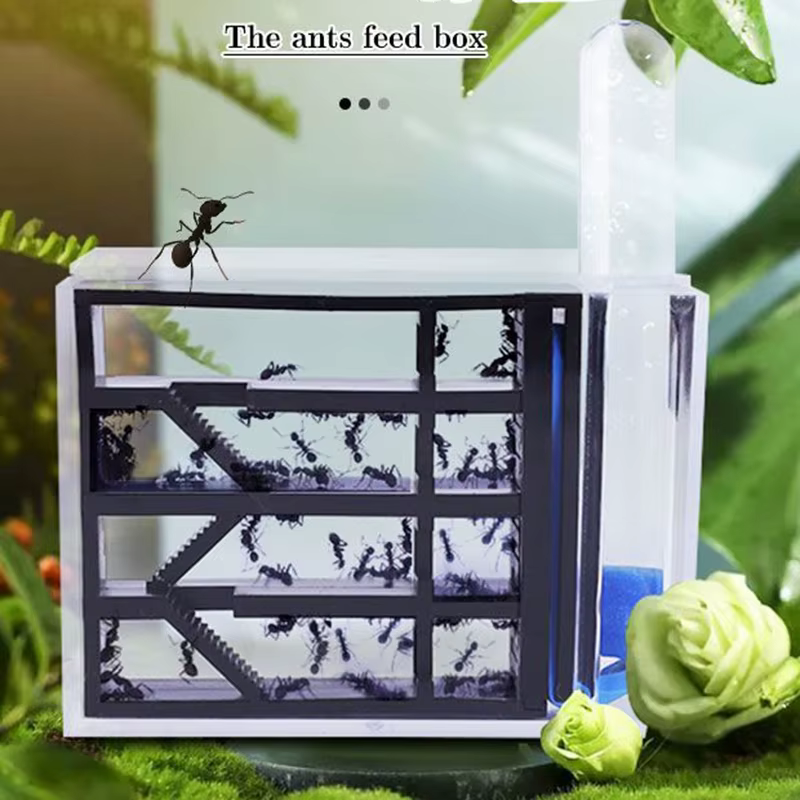 Formicario Ants Kingdom – Caja de observación de hormigas educativa