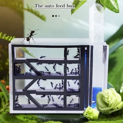 Formicario Ants Kingdom – Caja de observación de hormigas educativa