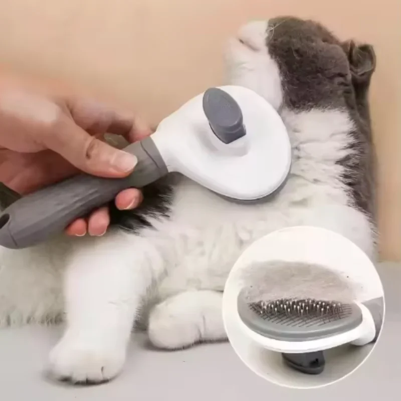Detalle de uso en mascota