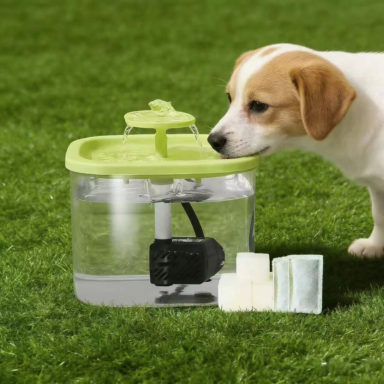 Uso de la fuente con mascotas pequeñas
