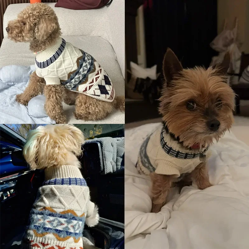 Mascota con abrigo en exterior